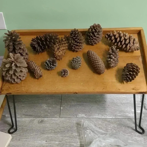 Christmas  Pine Cones - Picture 1 of 3